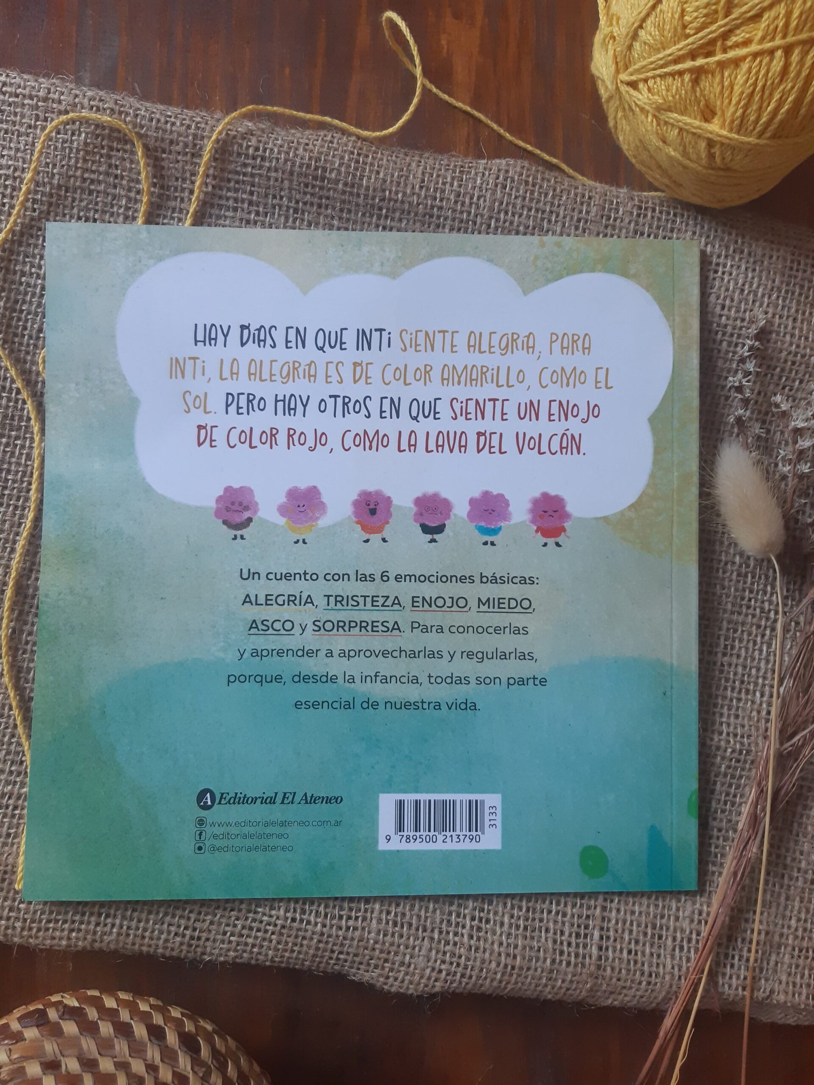 Las emociones de Inti - Carina Schwindt y Mariana Fernandez - Image 3