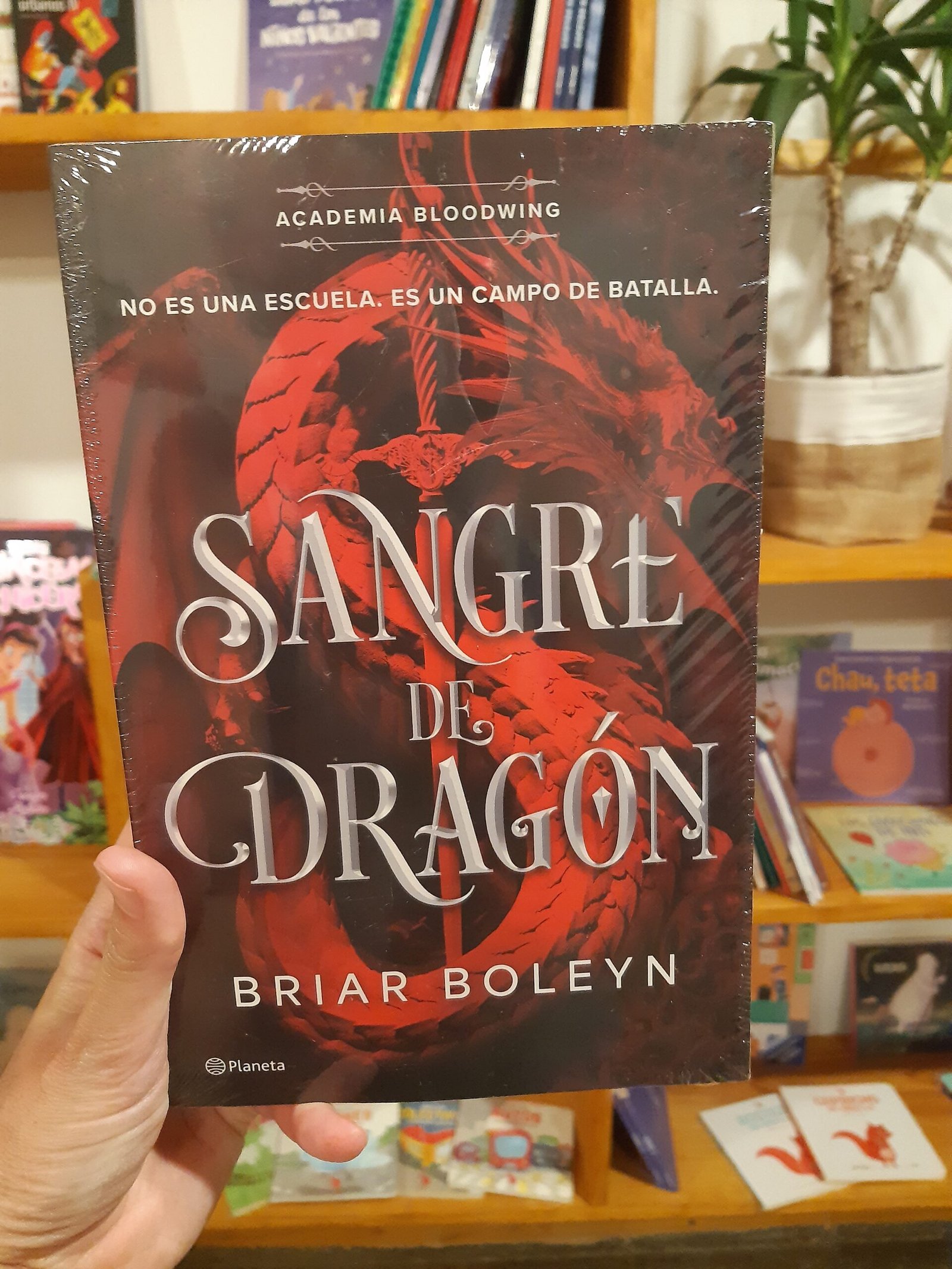 Sangre de dragón (Academia Bloodwing 1) - Briar Boleyn